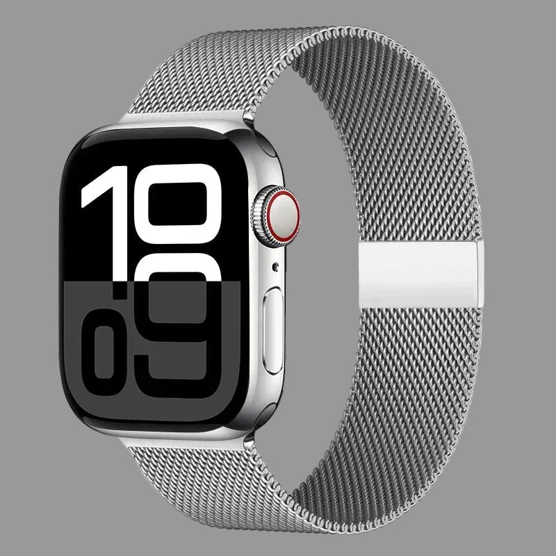 Milanese LabLoop | Silvery